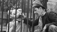 «Swiebertje (1955-1975)» — обои к сериалу #4