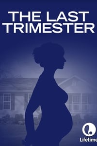 Poster de The Last Trimester