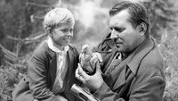 «Песня о сизом голубе (1961)» — обои к фильму #1
