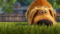«Будни Дага (2021)» — обои к мультсериалу #2