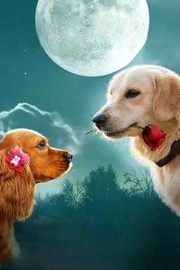 movie-images