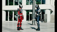 Giant Spider Counterattack