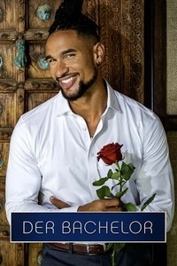 Season 13 Poster