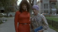 «Les chiens chauds (1980)» — обои к фильму #3