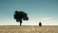 «Okna, okna (2018)» — обои к фильму #1