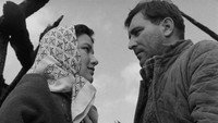 «Песня о сизом голубе (1961)» — обои к фильму #4