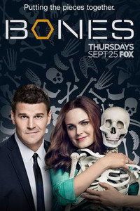 Постер сериала «Кости (2005 - 2017)» — (71 из 181)