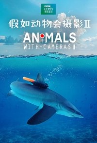 Animals with Cameras - Season 2