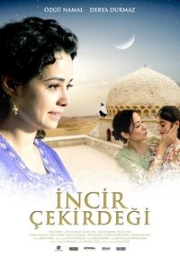 İncir Çekirdeği (2009)