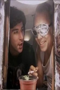 Top Buzzer - 2004
