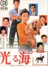 光る海 (1963)