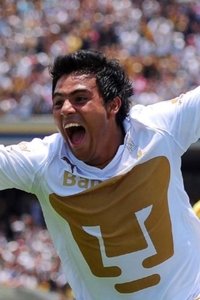 Imagem de Javier Cortés