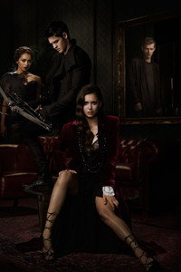 Постер сериала «Дневники вампира (2009-2017)» — (23 из 298)