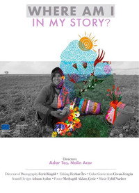 Where Am I in My Story? (2025) subtitle poster