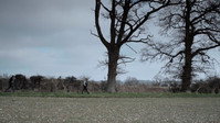 «Not Far from the Tree (2014)» — обои к фильму #1