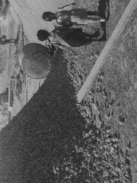 Постер фильма «Рваные башмаки (1933)» — (1 из 1)