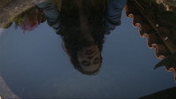 «Спящие красавицы (2017)» — обои к фильму #7