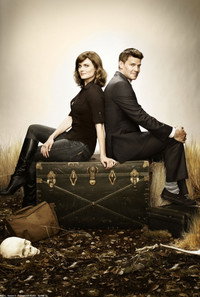 Постер сериала «Кости (2005 - 2017)» — (80 из 181)