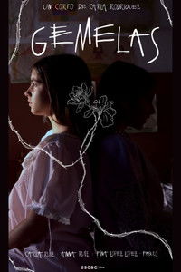 Poster de Gemelas