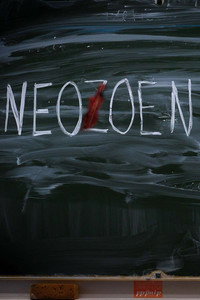 Neozoen