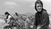 «Страх (1966)» — обои к фильму #9