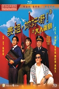 表姐，妳好嘢！3 大人駕到 (1992)