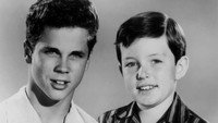 «Предоставьте это Биверу (1957-1963)» — обои к сериалу #5
