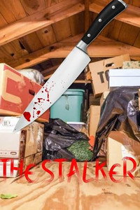 The Stalker
