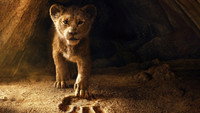 Обои к мультфильму «Король Лев (2019)» — (20 из 53)