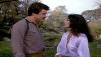 «Воины-цыгане (1978)» — обои к фильму #1