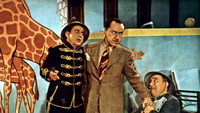 «Он мой адвокат (1945)» — обои к фильму #1