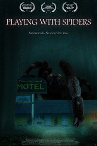 Постер фильма «Playing with Spiders (2021)» — (2 из 2)