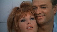 «Я женился на тебе ради забавы (1967)» — обои к фильму #2