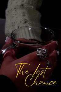 The Last Chance (2026) poster