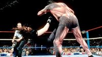 WWE SummerSlam 1993