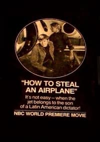 Poster de How to Steal an Airplane