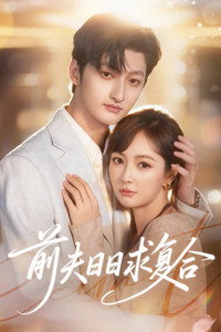 Ex-Husband Wants to Get Back Together Every Day - Season 1 Episode Guide