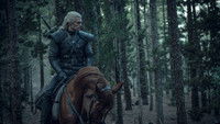 The Witcher