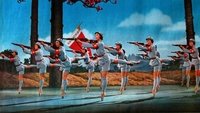 The Red Detachment of Women