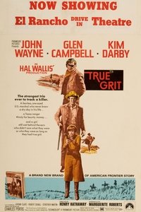 True Grit poster