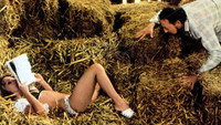 «Девственница в семье (1975)» — обои к фильму #3