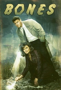 Постер сериала «Кости (2005 - 2017)» — (36 из 181)