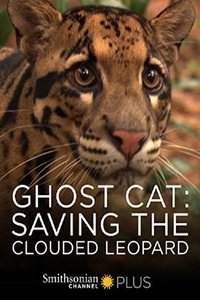 Watch Ghost Cat: Saving the Clouded Leopard 123Movies