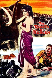 Постер фильма «Корни неба (1958)» — (4 из 16)