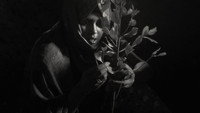 «Файя Дайи (2021)» — обои к фильму #1