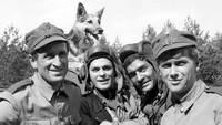 «Четыре танкиста и собака (1966-1970)» — обои к сериалу #1
