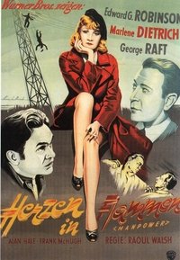 movie_cover