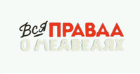 Логотип мультсериала «Вся правда о медведях (2015-2019)» — (2 из 25)