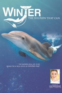 Poster de Winter, the Dolphin that Can