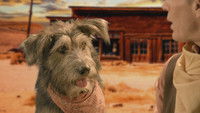 Movie Star Dogs & Hounds and Horses
